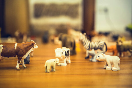 Miniature Toy Farming photo