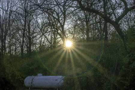 Re-Colored Sunlight through the Trees at Le Aqua Na State park photo