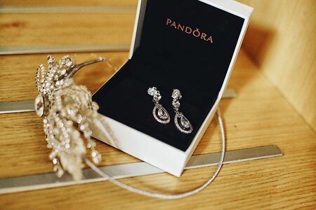 Earrings jewelry jewel