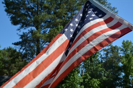 Flag american flag tree photo