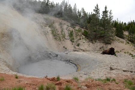 Hot springs and geyser basin landscape