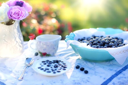 Beautiful Photo berries blueberry photo