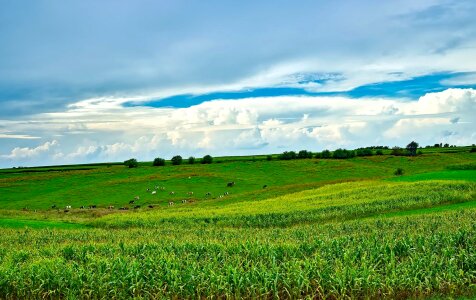 Agriculture cloud cloudy photo