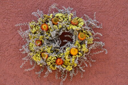 Circle decorative dry