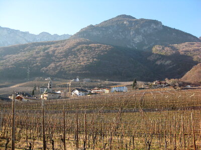 South Tyrol, Wine road near Tramin photo