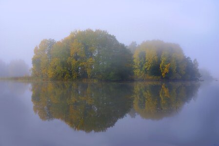 Autumn sweden mist photo