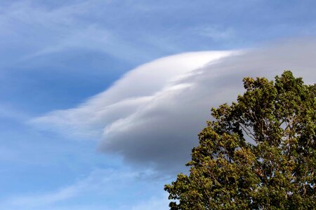 Atmosphere branch cloud photo