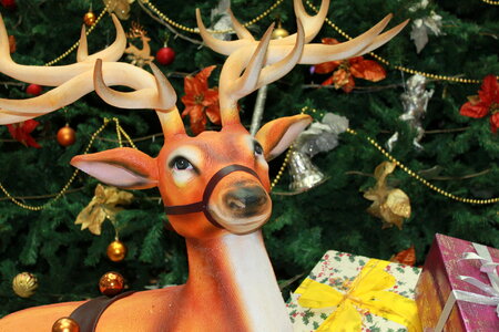 Reindeer Christmas Tree photo