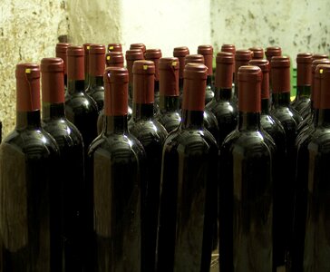 Bottles wine cellar photo