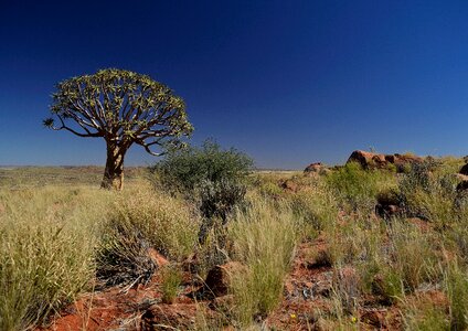 Africa african desert photo