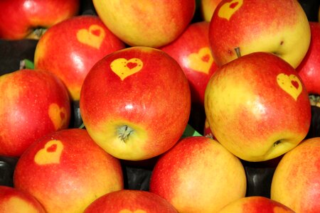 Healthy vegetarian vitamins