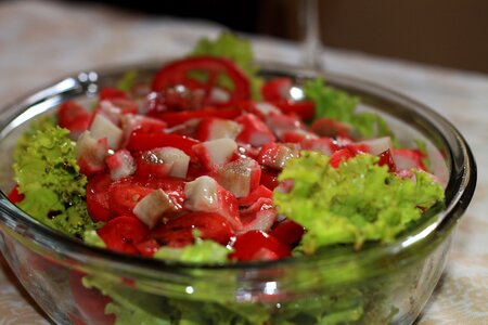 Salad food Free photos