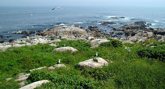 Coast island 