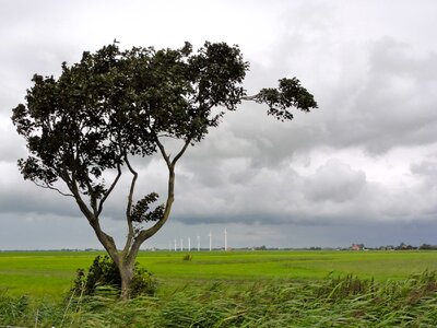 Wind turbines in Frisian countryside, Netherlands
