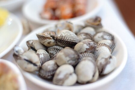 Cockle beolgyo clam