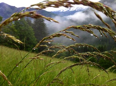 Green austria zell am see