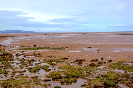 Low tide in the sea photo