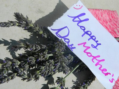 Happy Mothers Day Note With Lavenders photo