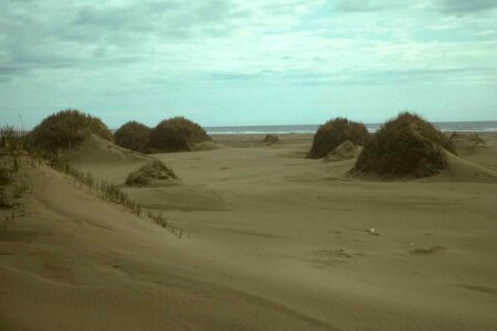 Island sand 
