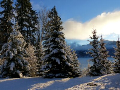 Winter Canim Lake BC Canada photo