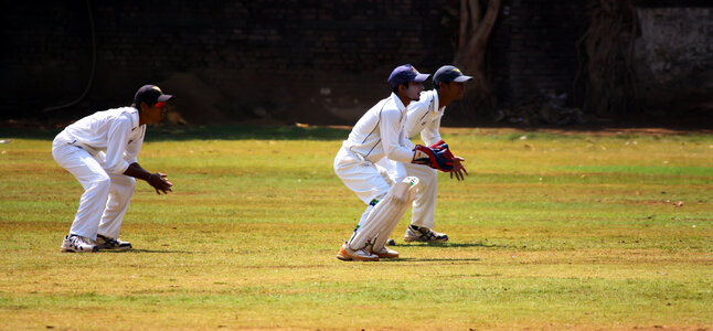 Cricket Wicket Keeping photo