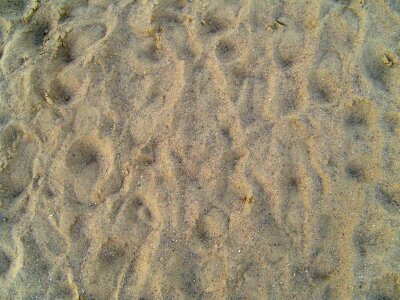 Background sand 