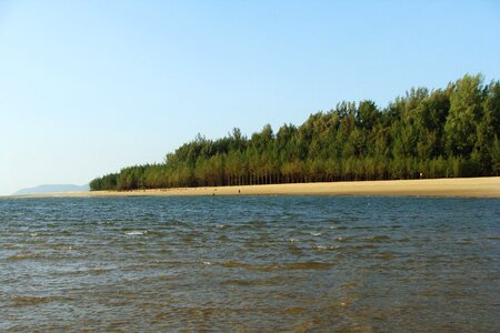 Shoreline ocean sea photo