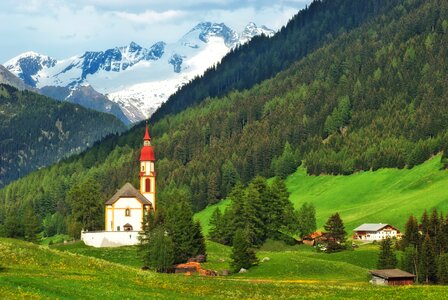 Forest trees church