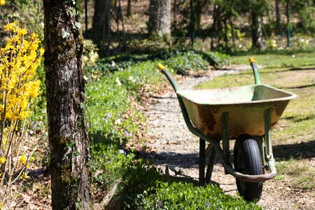 Wheelbarrow garden barrow barrow on path photo