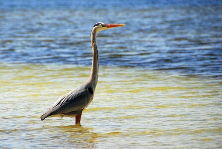 Sea water nature
