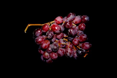 Blue fruit food