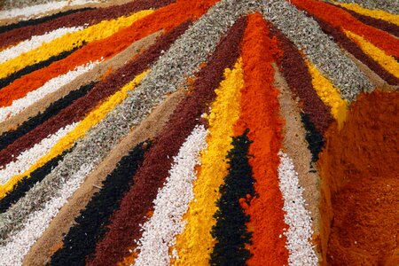 Color Spices photo