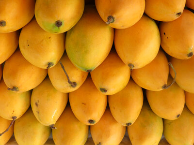Thai fruit, ripe mango photo