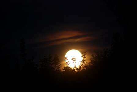 Full dark moonlight photo