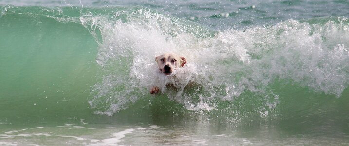 Water beach play