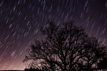 Dark landscape nature