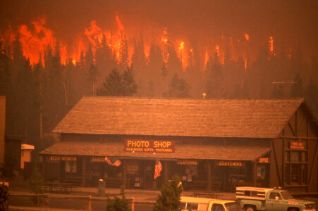 Crown fire approaches the Old Faithful complex in 1988 photo