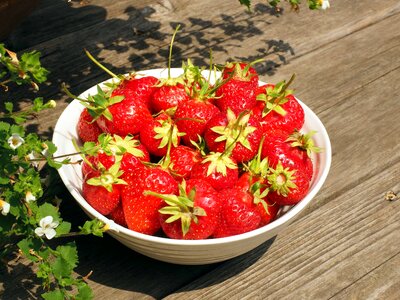 Berry bowl calorie