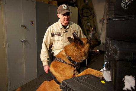 Law enforcement with K-9-1