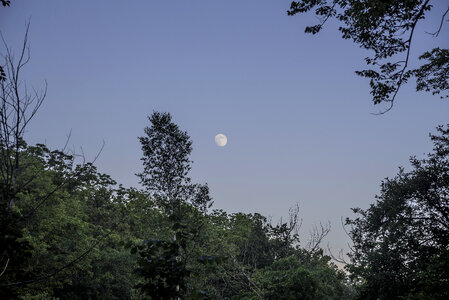Moon beyond the trees at dusk at Stewart Lake County Park photo