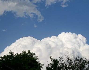 Dense cumulus trees