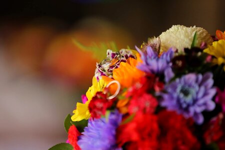 Wedding Bouquet wedding ring colorful photo