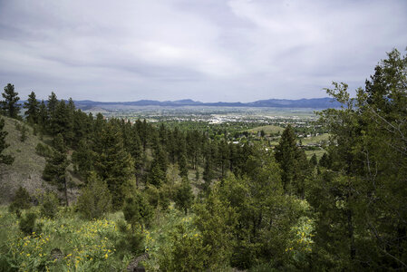 Trees with sky and clouds with the town of Helena