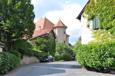 Castle ivy medieval