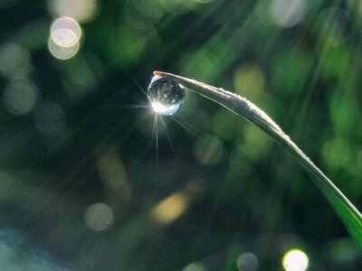 Water Drop Shine in Sun Light photo