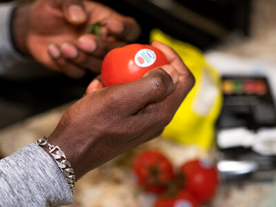 Cooking tomato tomatoes photo
