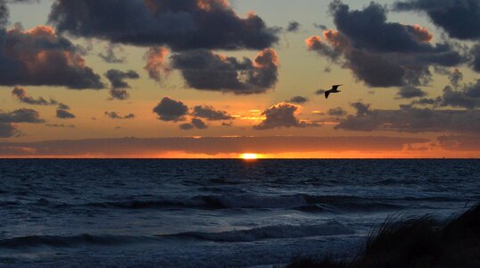 Nature ocean beach