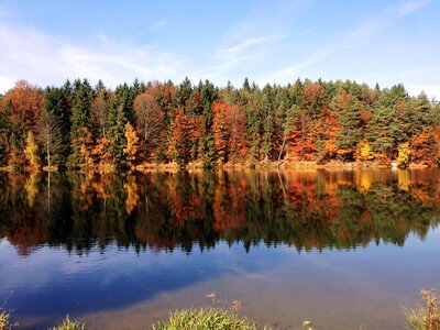 Fall color rest silent