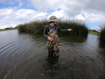 Conducting biological survey at James Campbell National Wildlife Refuge