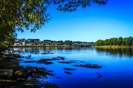 Lake and shoreline landscape of the Clutha River in New Zealand photo
